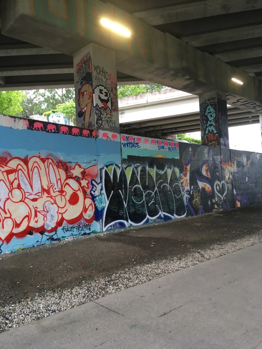 G is for Georgia – A Writer's Metamorphosis